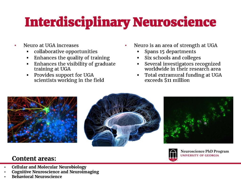 phd in neuroscience usa